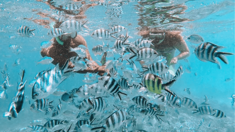 Blue Bay : bateau à fond de verre et snorkeling dans le parc marin