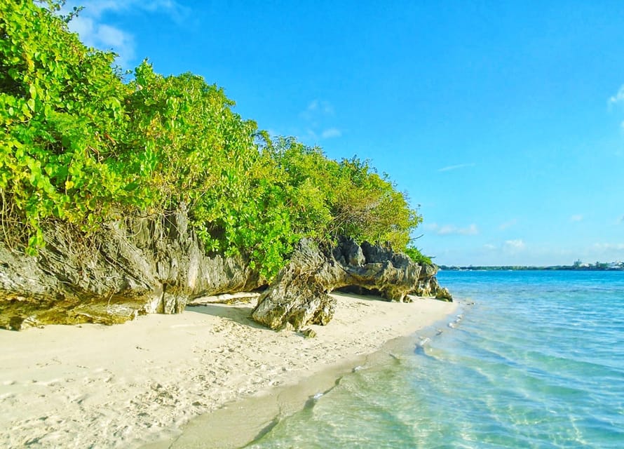 Réserve de l'Île aux Aigrettes et bateau à fond de verre à Blue Bay
