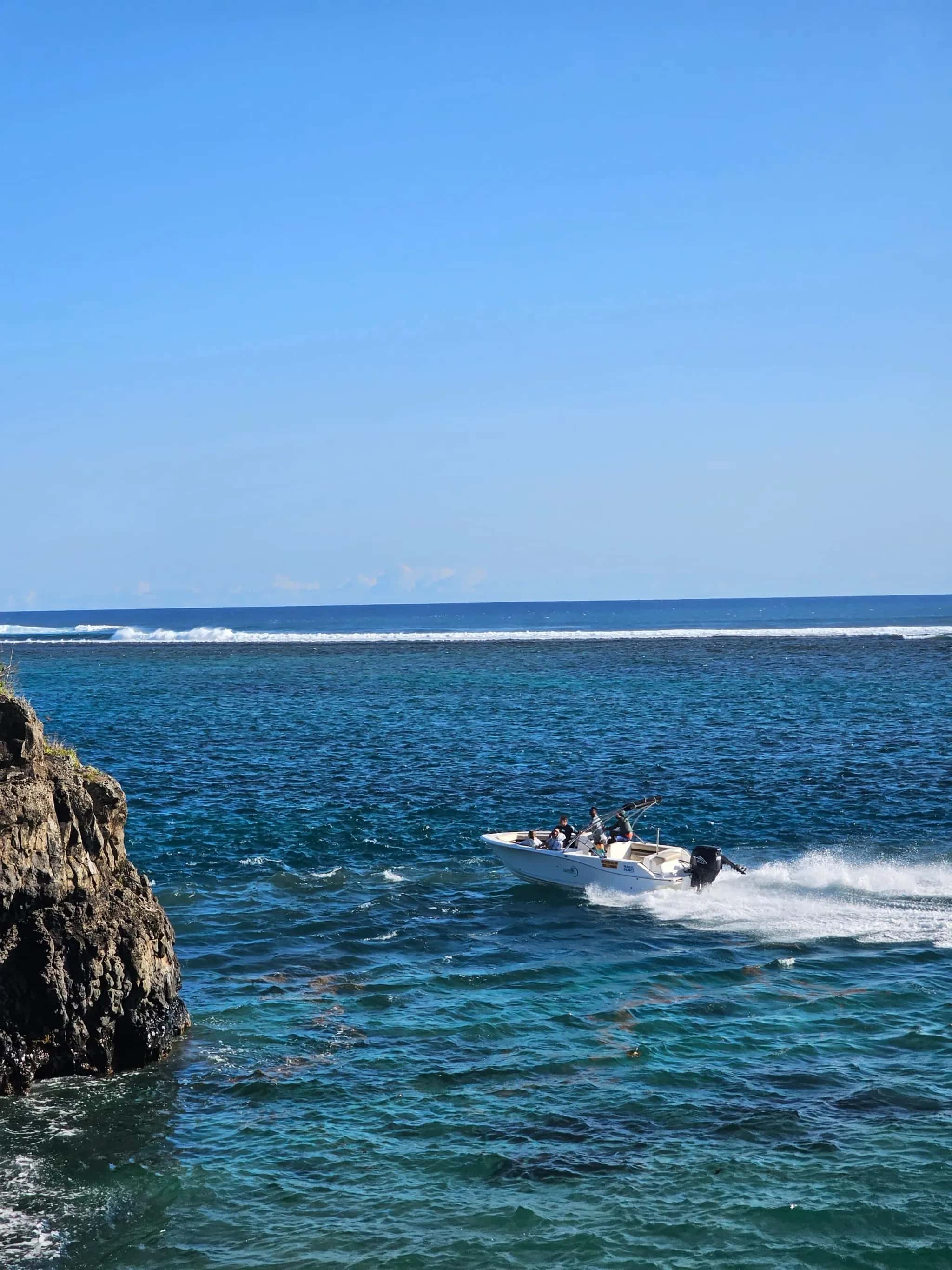 Tamarin & Black River