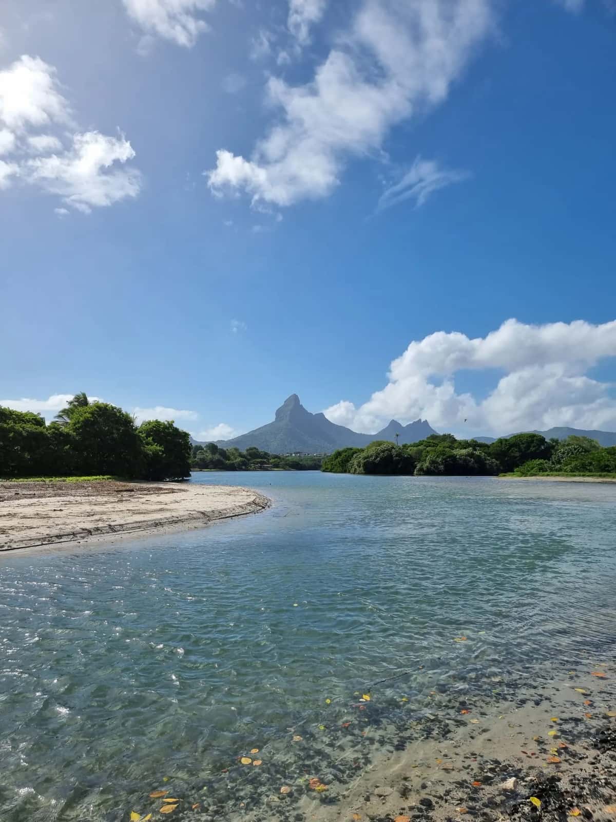 Chamarel terres colorées