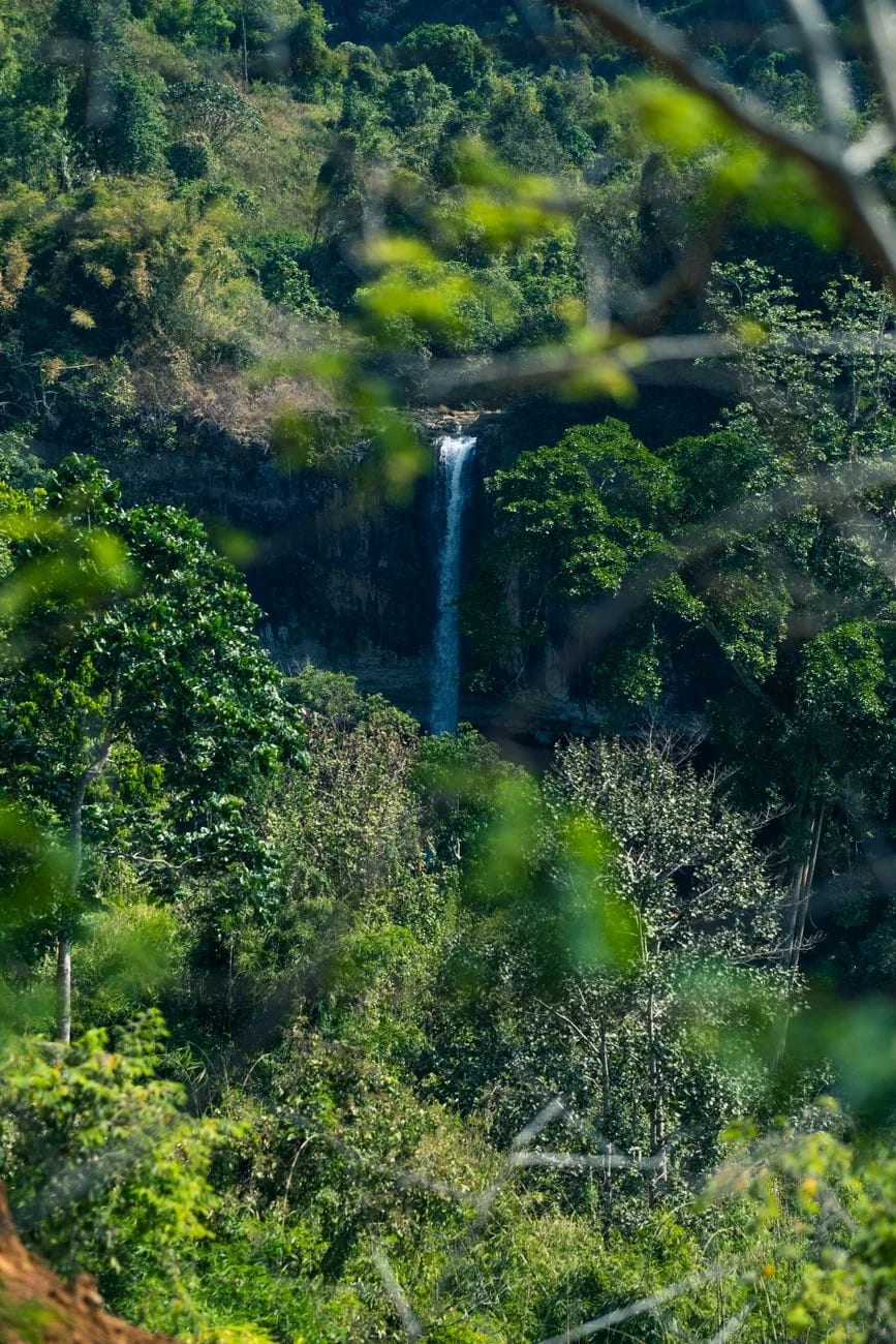 Chute d'eau lointaine vue à travers le feuillage d'une vallée boisée