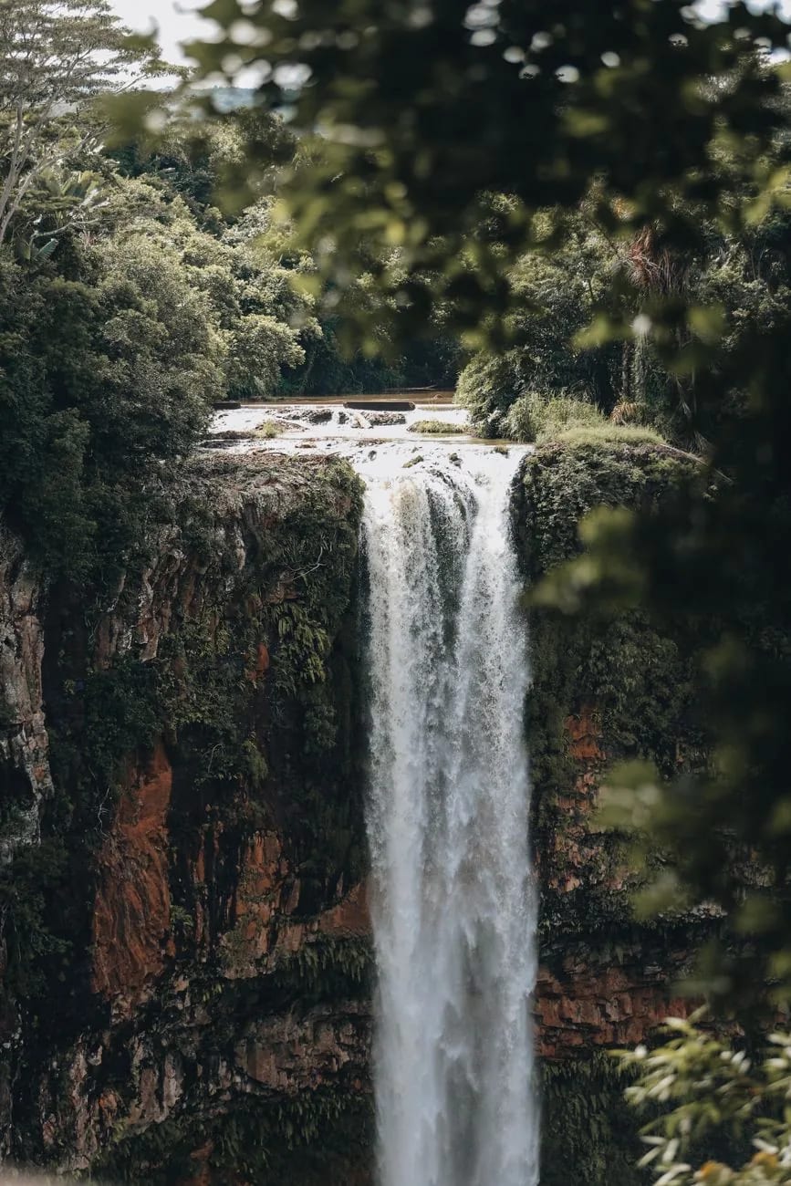 Cascade de Chamarel tombant d'une falaise basaltique dans une gorge boisée