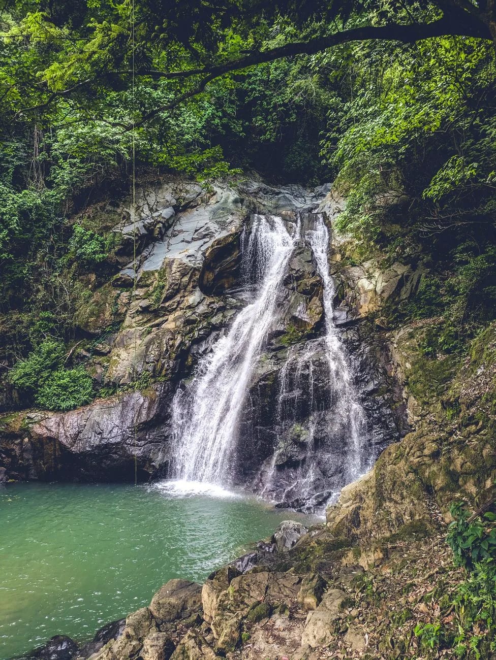 Petite cascade tombant dans une vasque d'eau verte au milieu de la végétation tropicale