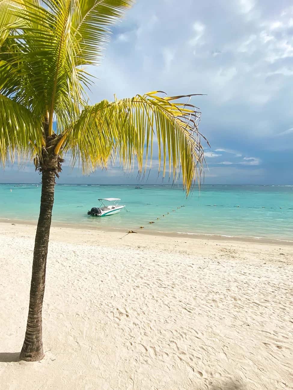 Cocotier sur la plage de Trou aux Biches, lagon turquoise et ligne de bouées de la zone de baignade