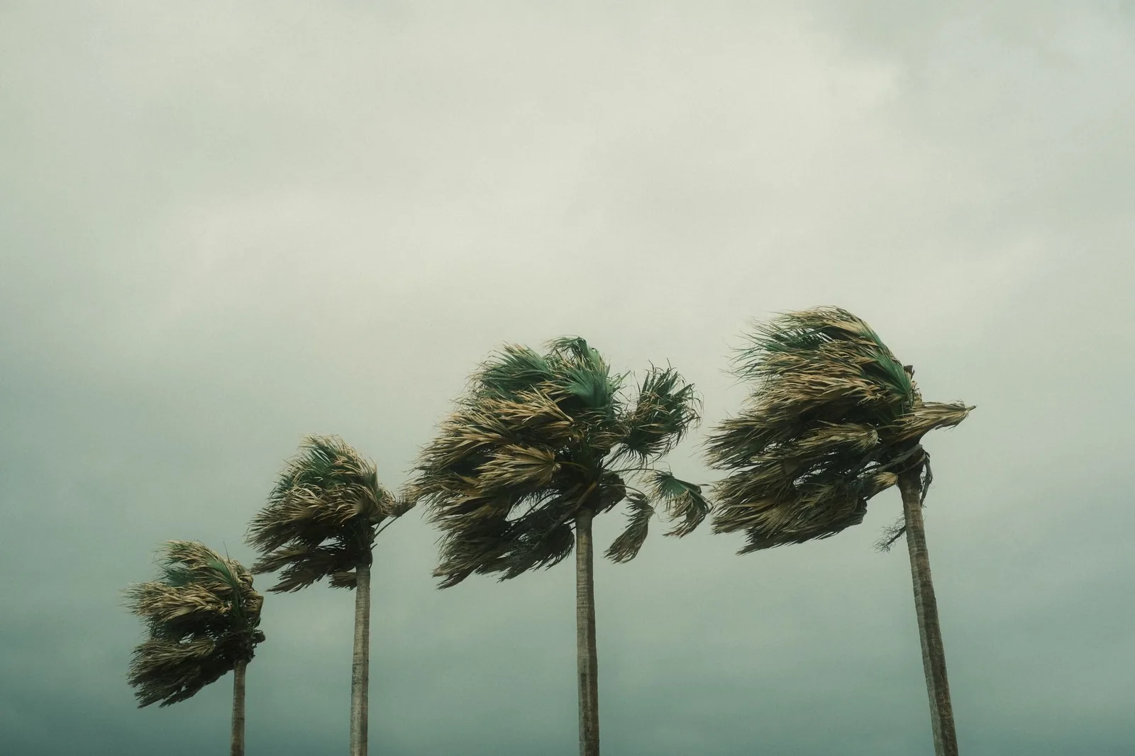 Les inconvénients de l'île Maurice (avant de s'expatrier)