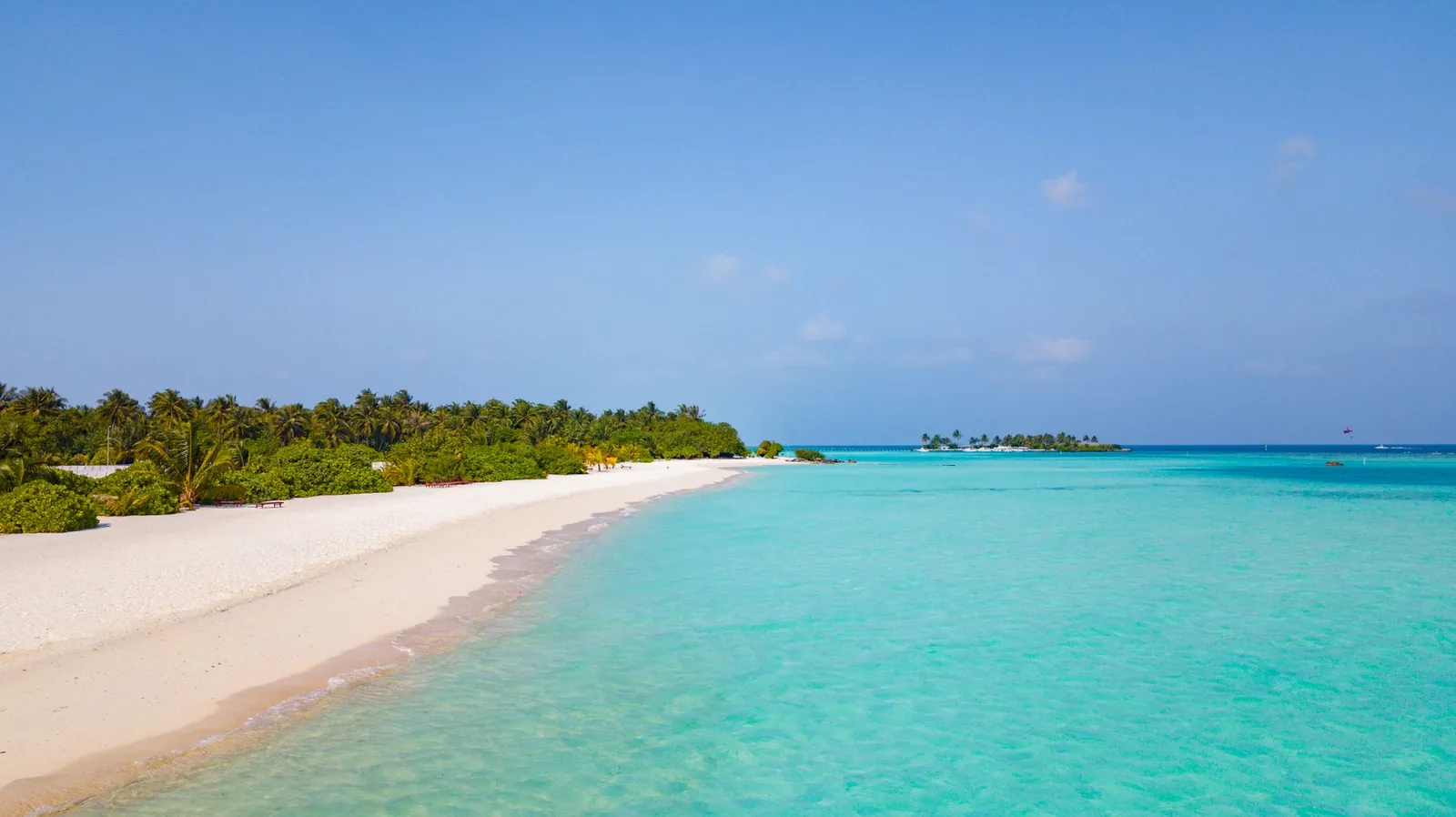 Longue plage de sable blanc et lagon turquoise bordé de cocotiers à l'île Maurice