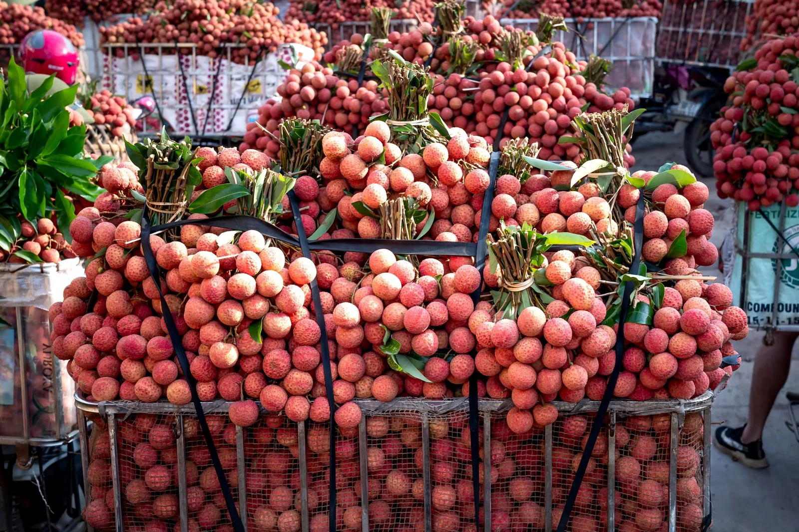 Grappes de letchis rouges frais empilées en paniers sur un étal