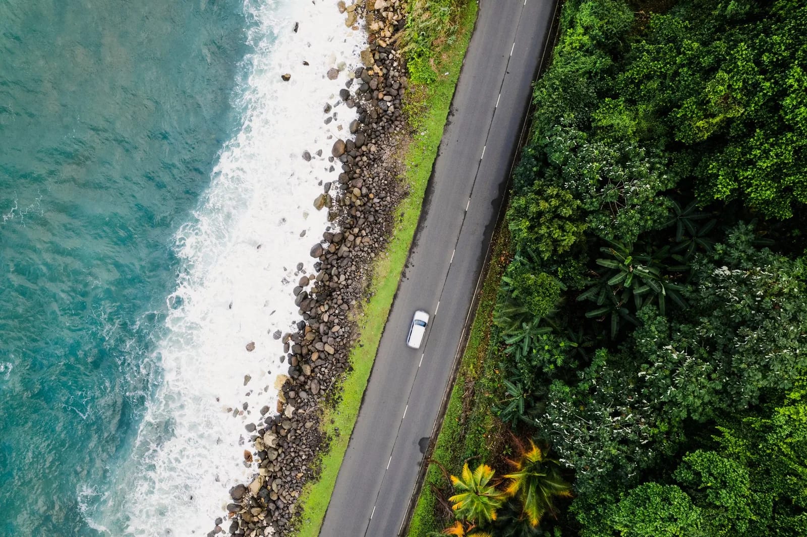 Voiture blanche sur une route côtière longée de rochers, de vagues et de végétation tropicale