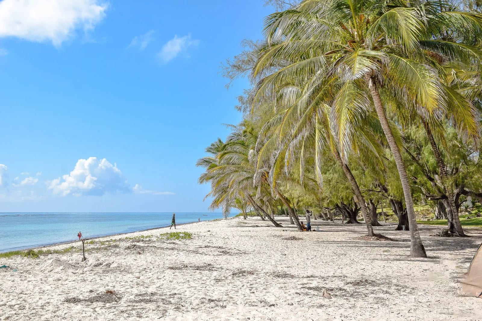Plage de sable blanc bordée de filaos et de palmiers sous un ciel bleu à Flic en Flac, île Maurice