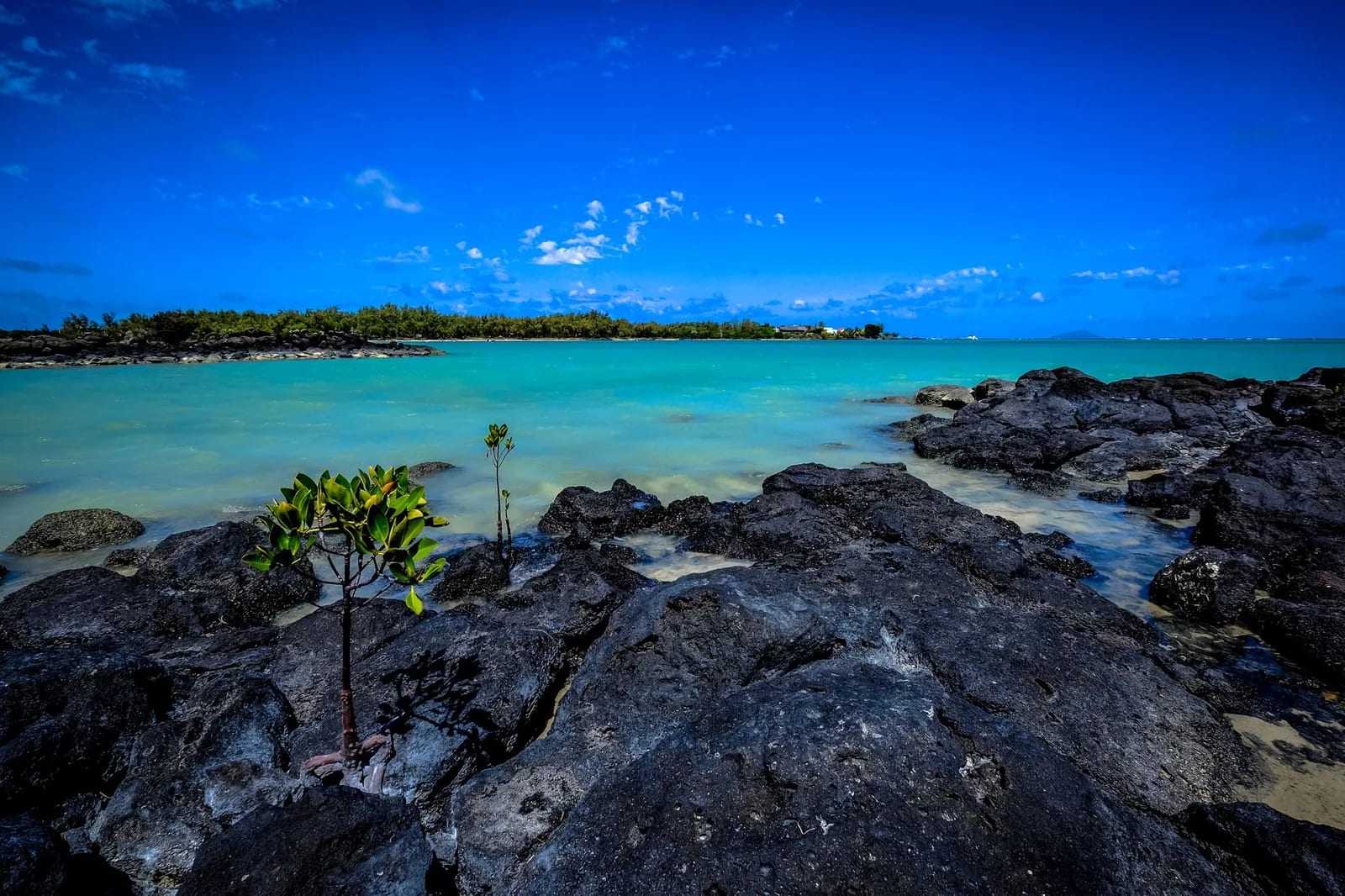 Paul et Virginie : le roman, le naufrage du Saint-Géran et ses lieux à l'île Maurice