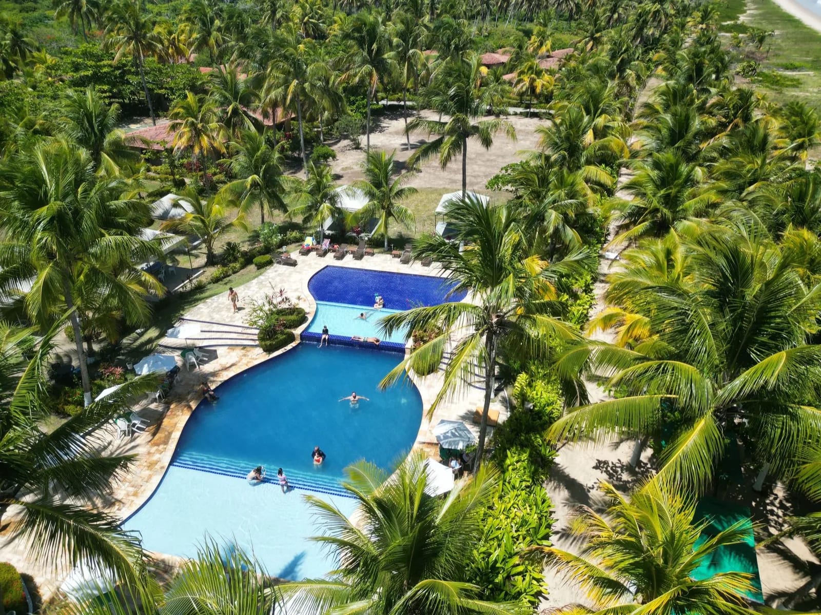 Grande piscine de resort entourée de palmiers, vue aérienne