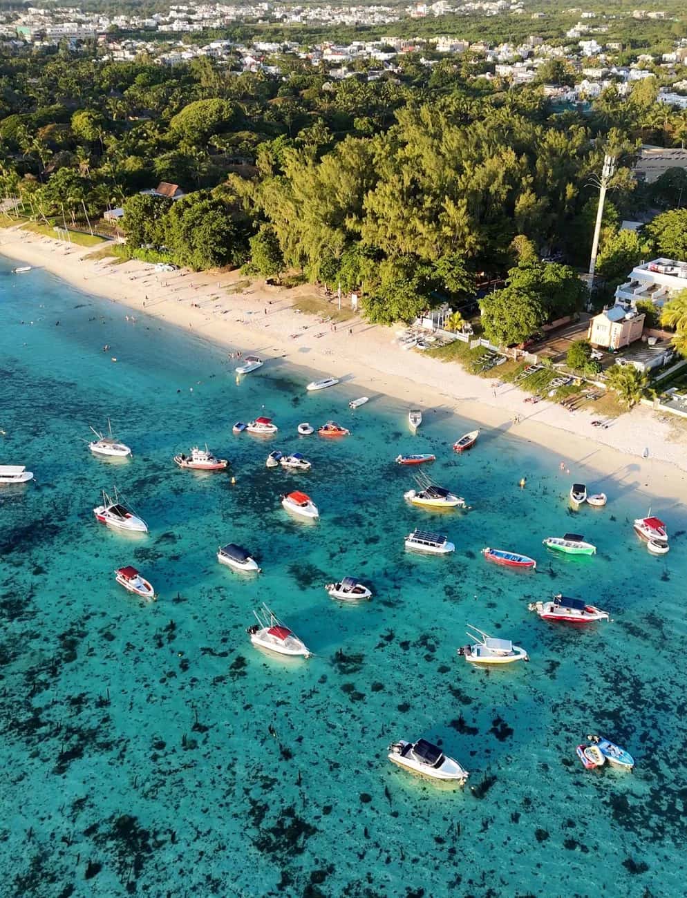 Population de l'île Maurice