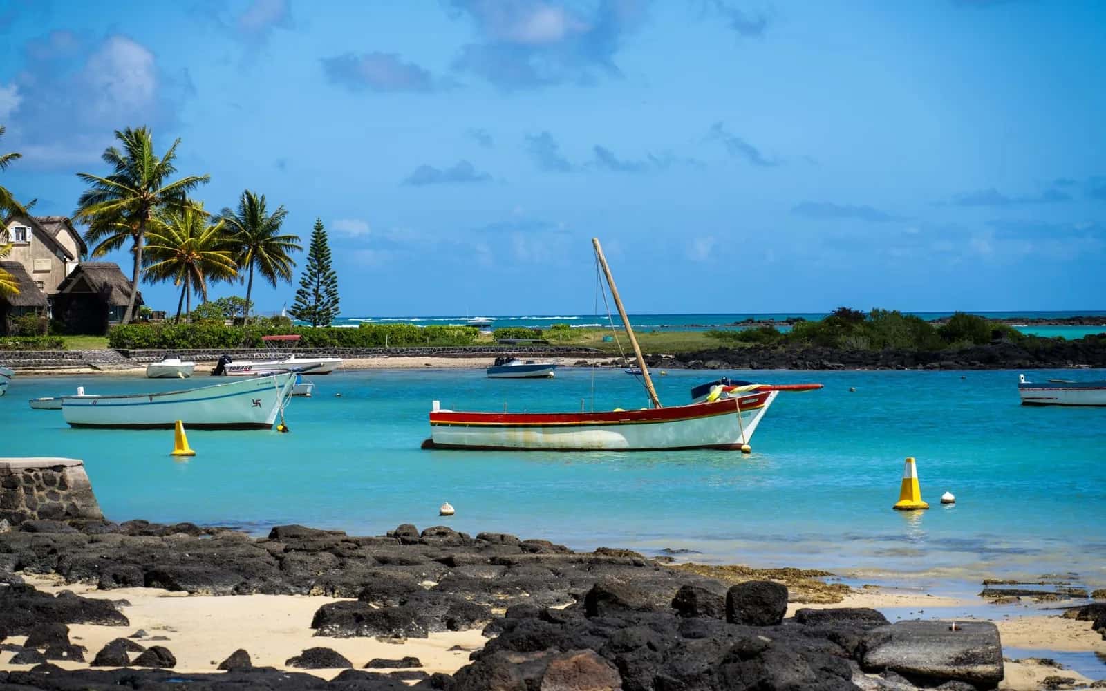 Lagon turquoise et plage bordée de cocotiers sur la côte sud de l'île Maurice
