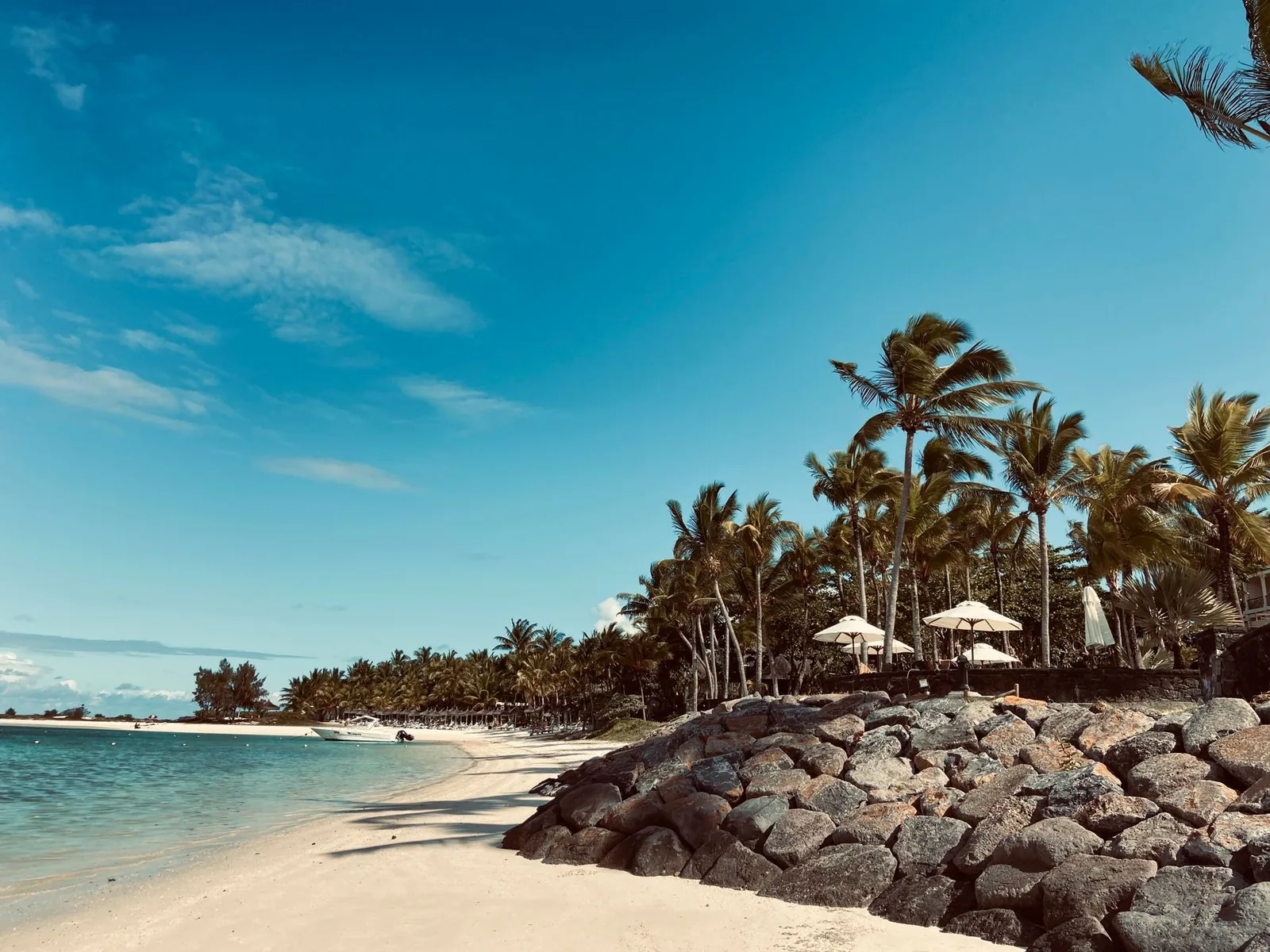 Plage mauricienne bordée de cocotiers sous un ciel dégagé pendant l'hiver austral