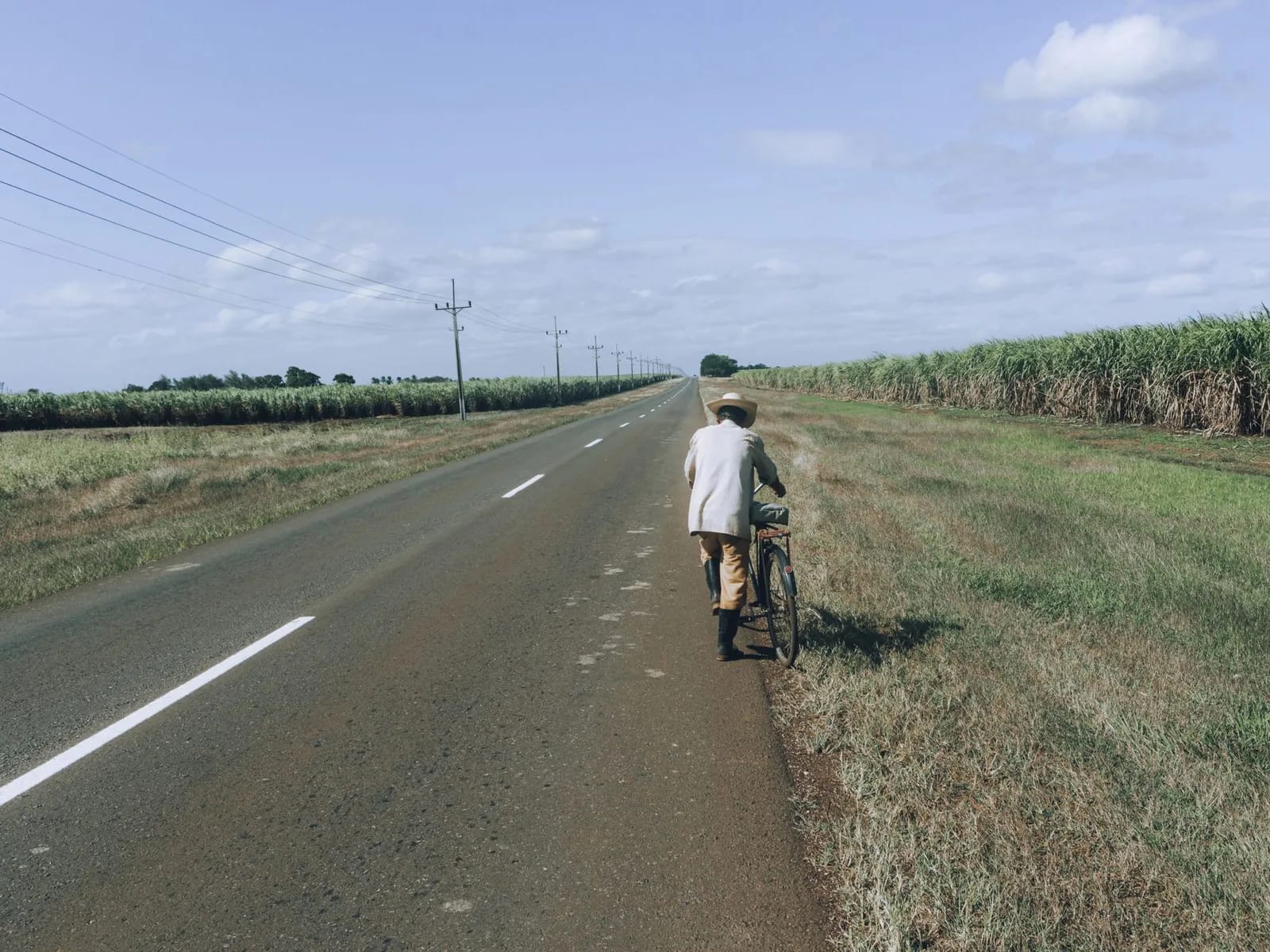 Route secondaire bordée de champs de canne à sucre à l'île Maurice, avec un cycliste sur le bas-côté