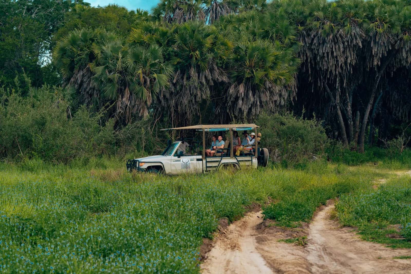 Véhicule de safari 4x4 sur une piste de terre entre prairie verte et palmiers