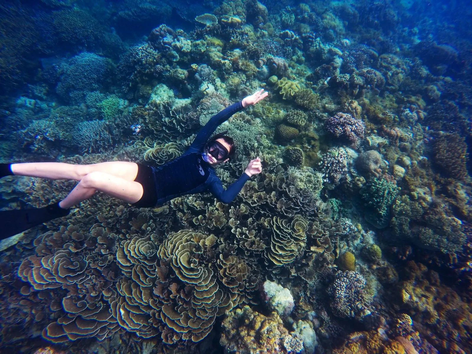Nageuse en snorkeling au-dessus d'un récif corallien