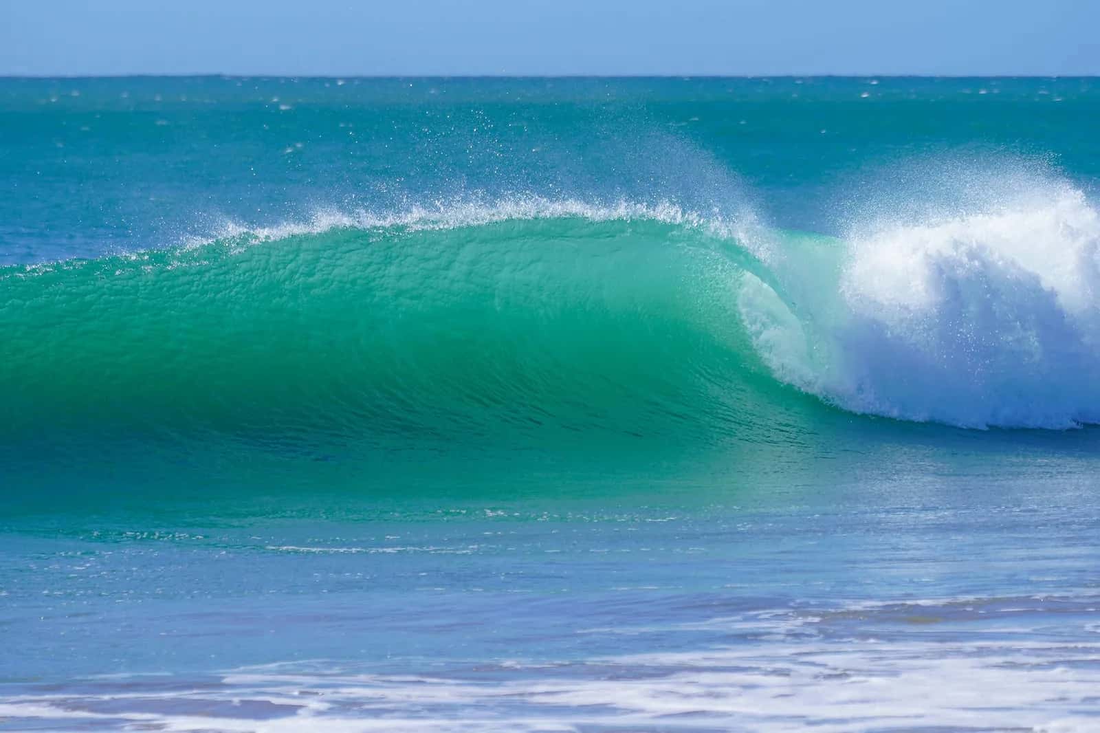 Vague turquoise qui s'enroule sur le récif, du type des gauches de Tamarin Bay à l'île Maurice