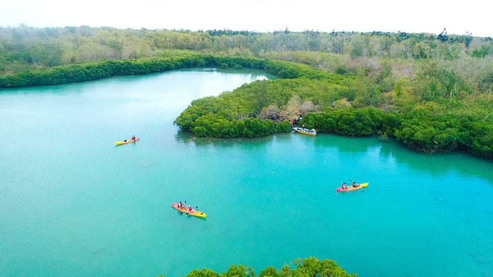 Île d'Ambre en kayak : mangrove et lagon du nord-est