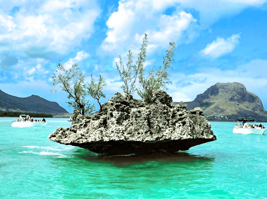 Île aux Bénitiers : catamaran avec observation des dauphins et déjeuner